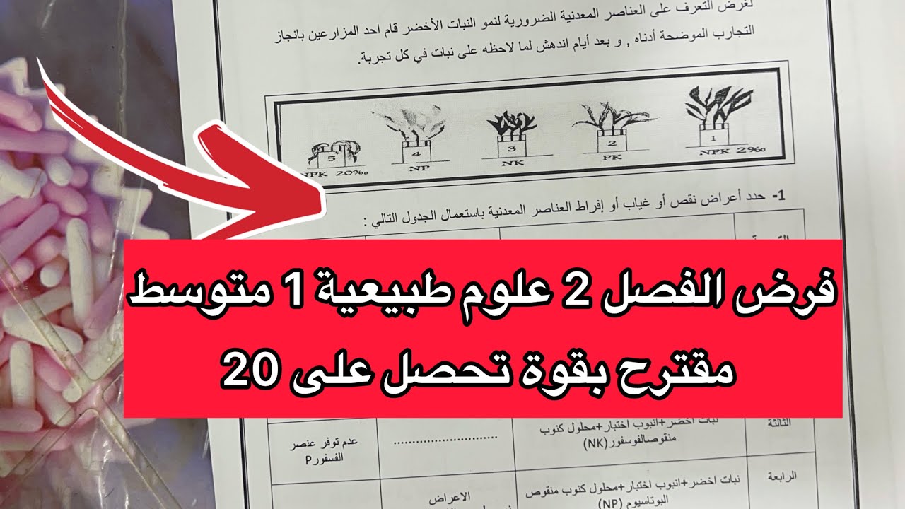 فرض مقترح بقوة في العلوم الطبيعية سنة 1 اولى متوسط الفصل الثاني 