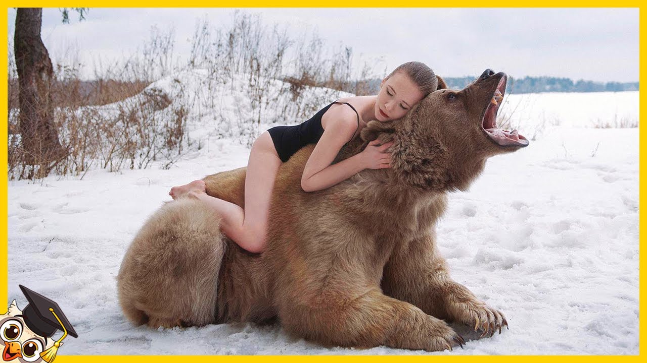 10 Amitiés Dangereuses Entre les Humains et les Animaux Sauvages