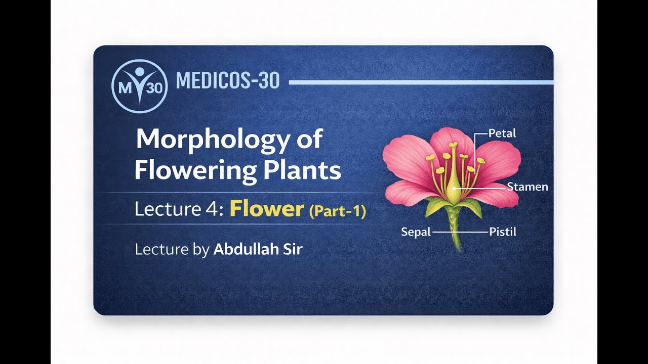 L - 4 | Morphology of Flowering Plants | Flower ( Part One ) | NEET Biology |