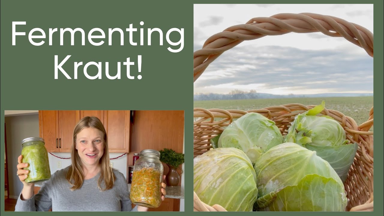 Fermenting Cabbage | How to Make Saurkraut & Curtido
