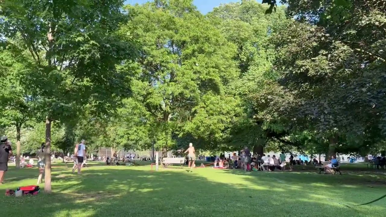 Trinity Bellwoods Park #park  #canada  #toronto  #ishortvideo 