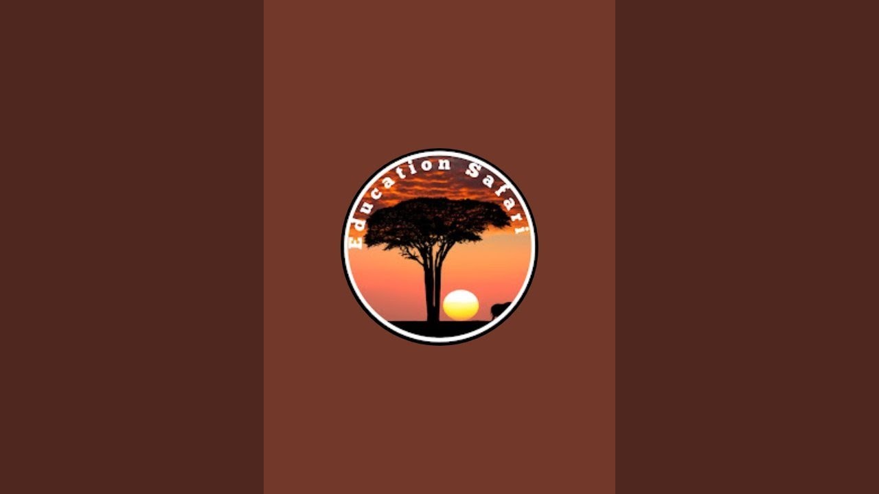 Education safari 🥇 is live