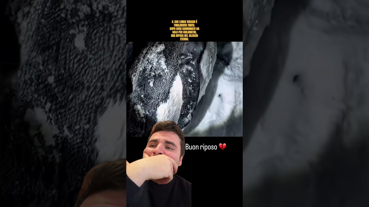 Buon riposo piccolino
