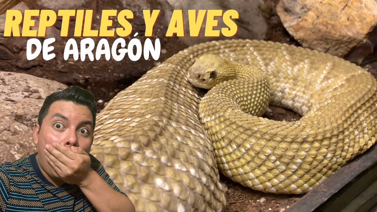 HERPETARIO y AVIARIO de Arag&oacute;n