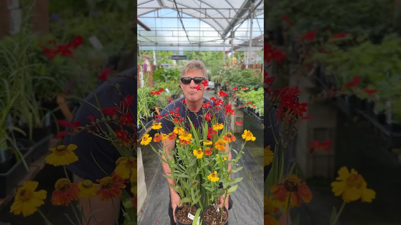 5 вечных сочетаний для создания дизайнерского образа