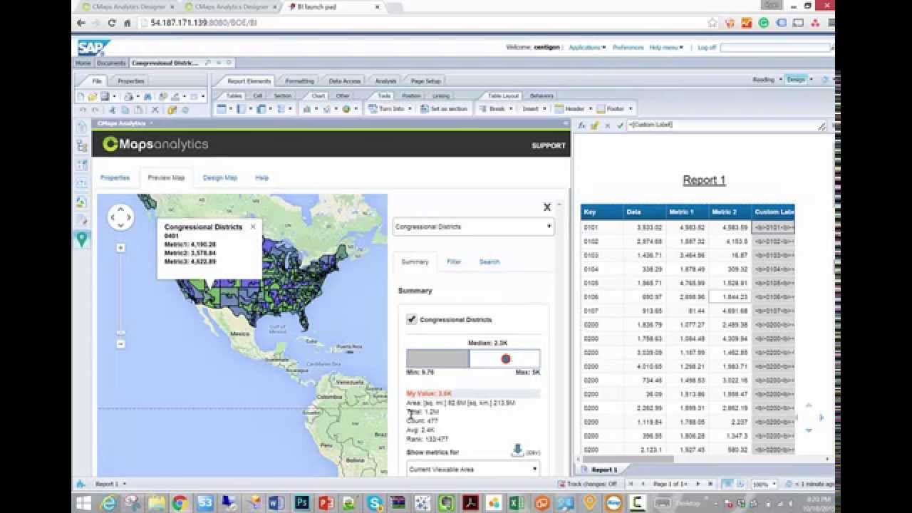 Custom Regions in SAP Webi with CMaps Analytics