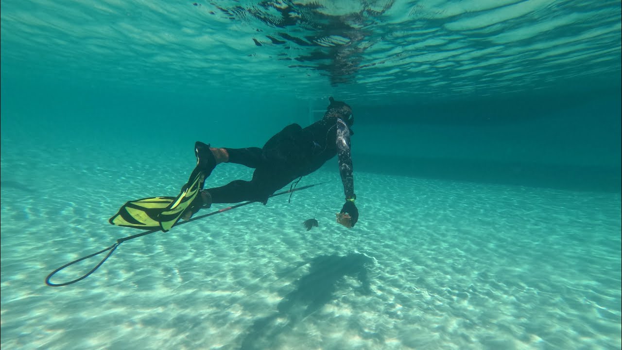 Snorkeling In The Bahamas Glass Bottom Boat Edition