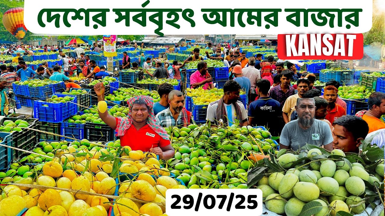 আমের রাজধানী চাঁপাইনবাবগঞ্জ কানসাট । wholesale mango market | update mango price bd 