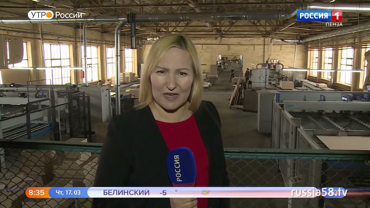 Компания «Программа Техно» (г.Кузнецк)