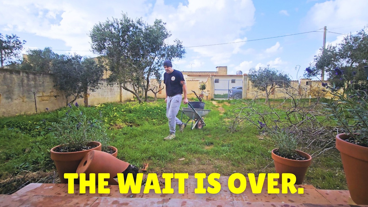 (65) After Months of Work… The Villa Is Finally Ready for This!