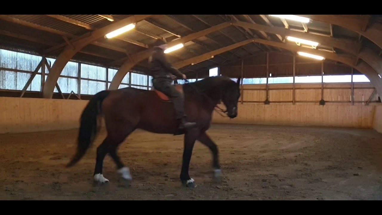 Conquest in morning work with Ralf 2021/02