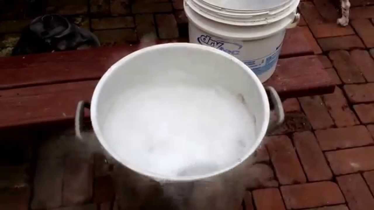 Bleaching skulls.