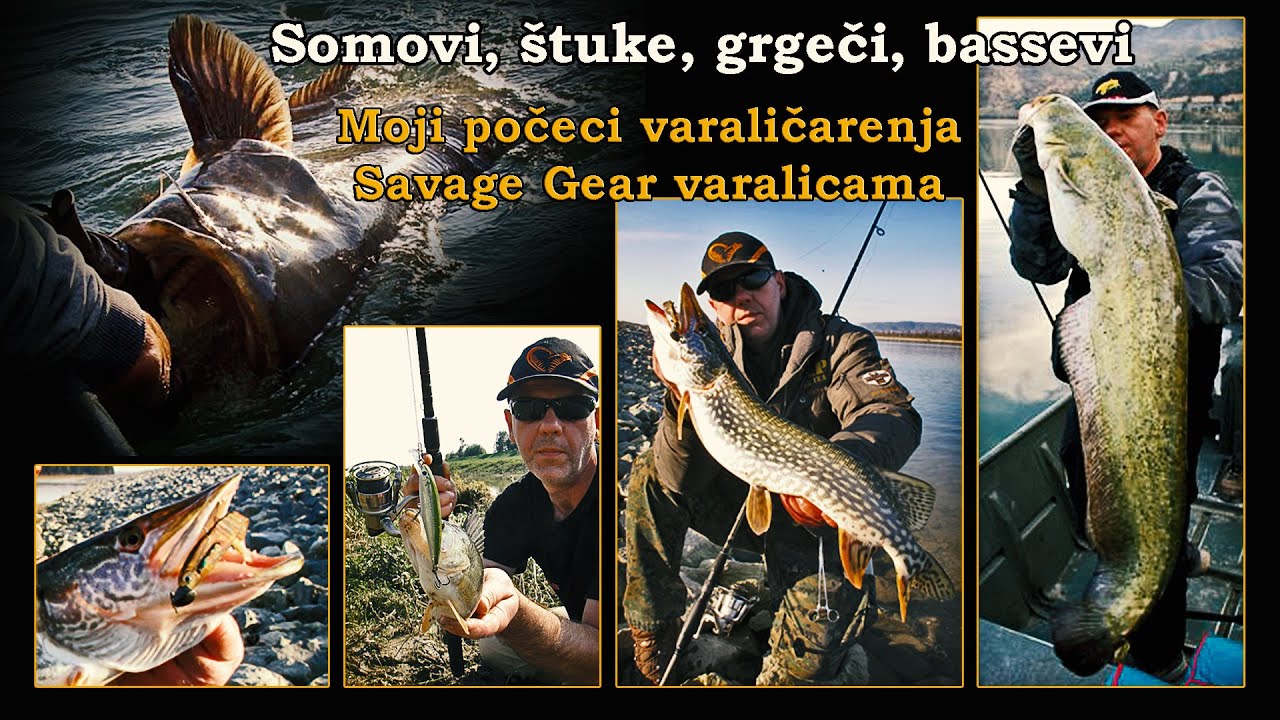 Somovi, štuke, grgeči, bassevi - Kako sam počeo loviti Savage Gear varalicama / VSP Igor Pavičić