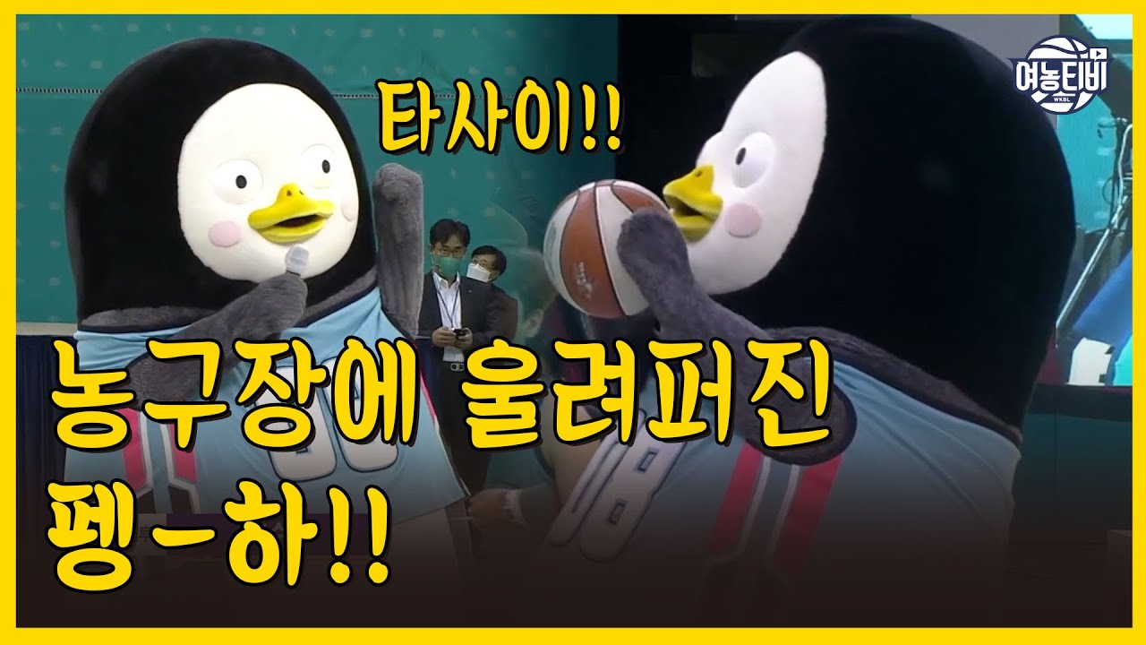 🐧 펭수 성공했네 이거! WKBL에도 나오고 (펭수 시투 Full ver.)