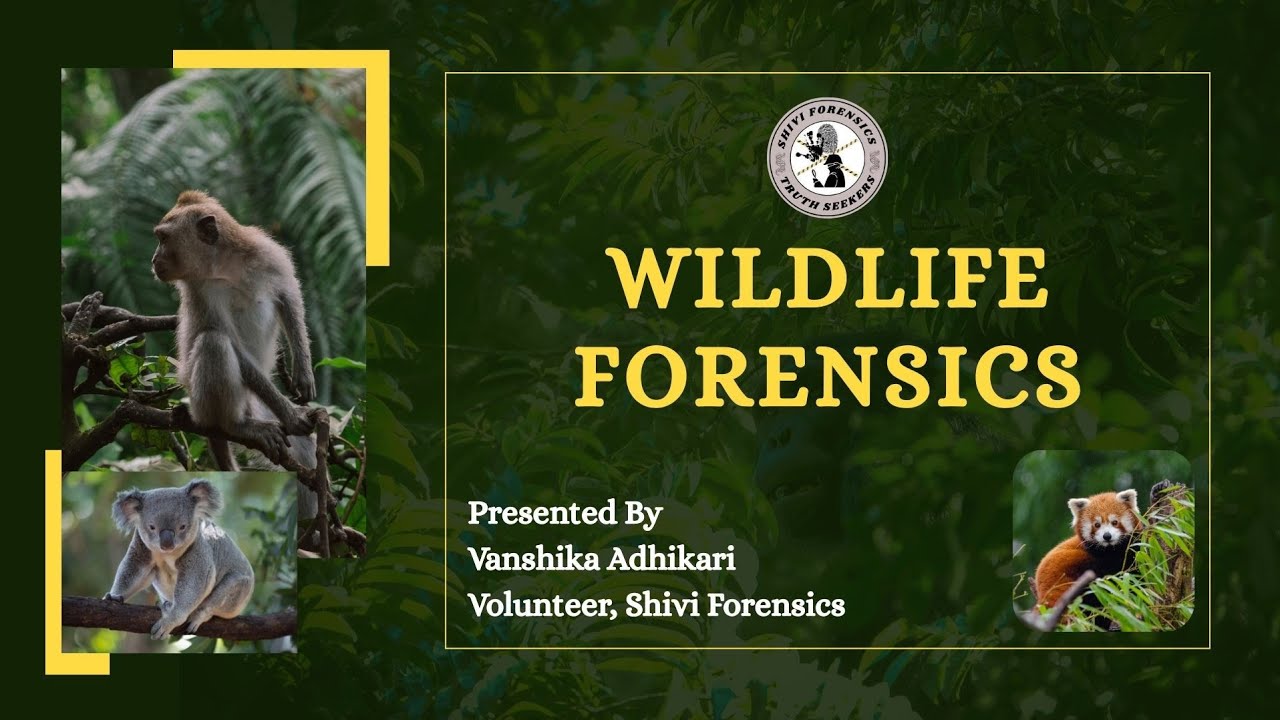 Wildlife Forensics MCQs | Competitive Exams | Forensic Science #ugc
