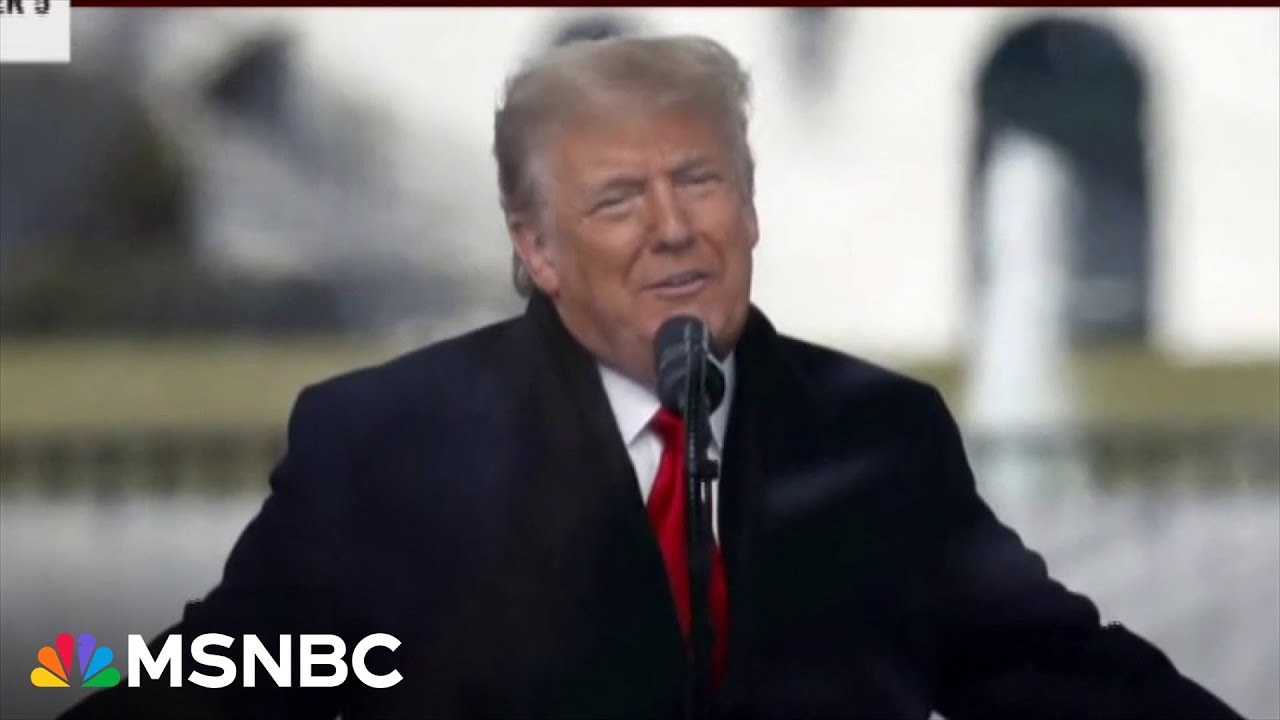 ‘Beware’: Trump is ‘beginning the intimidation’ planned for his possible presidency, historian says