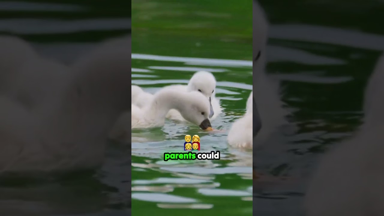 45-FOOT WELL TRAP to First Steps of a Legend! These Rescues Will Restore Your Faith!