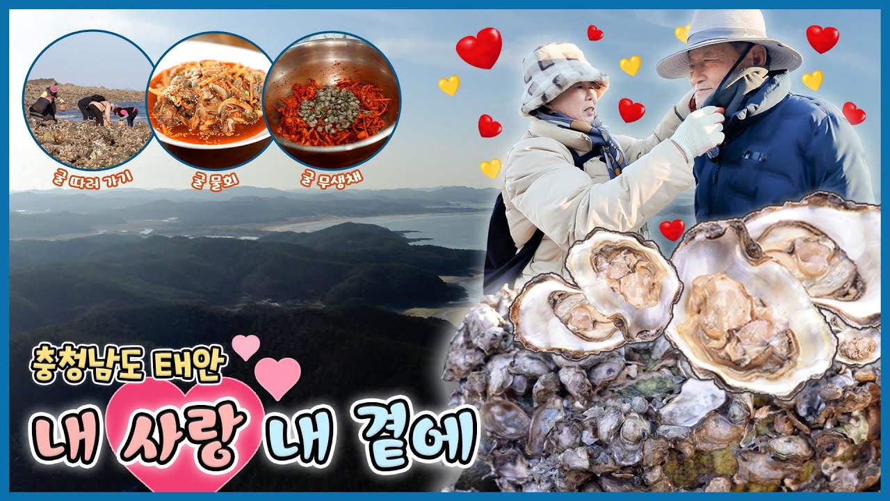 [인생은 행복海!] 내 사랑 내 곁에 [6시N내고향] / KBS 방송
