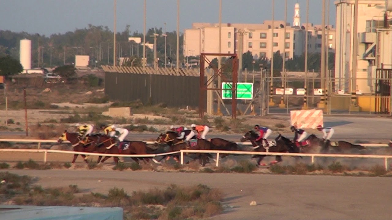 ميدان فروسية الجبيل الحفل6 الشوط الرابع لموسم 1440ه الجواد القارع