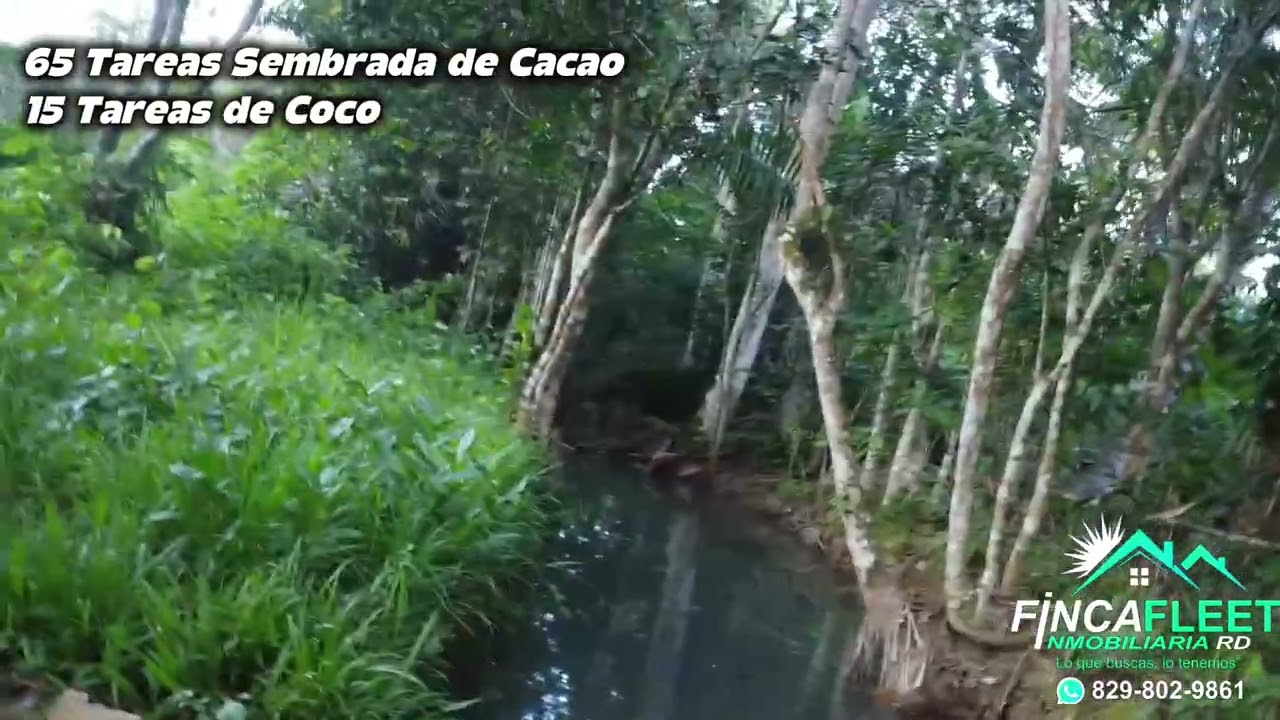 Oportunidad Única: Finca 165 Tareas en la zona más verde y lluviosa de Monte Plata 