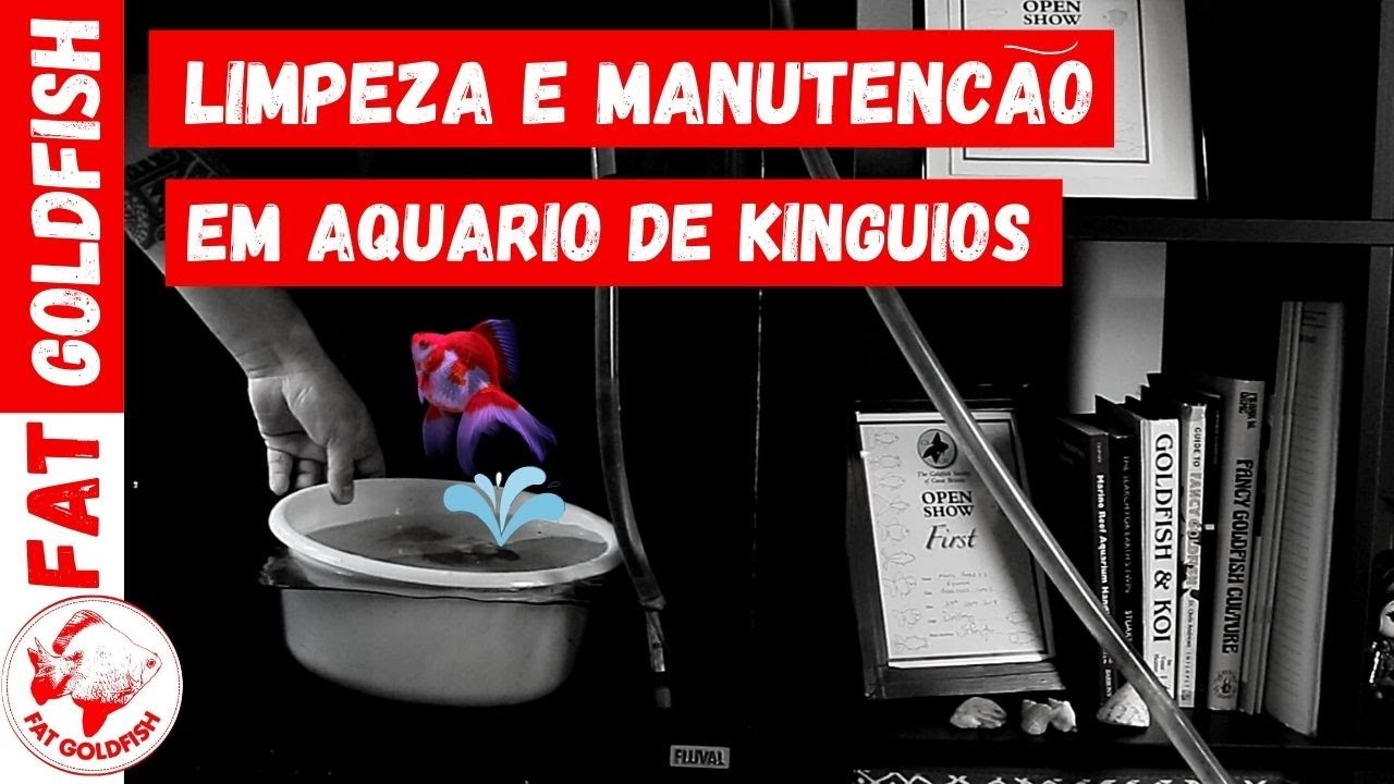 Manuten&ccedil;&atilde;o e limpeza em aqu&aacute;rio de kinguios.