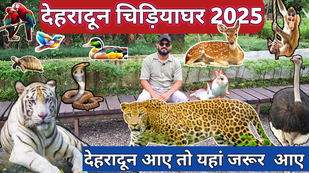 Dehradun zoo | देहरादून चिड़ियाघर 2025 | malsi deer park |