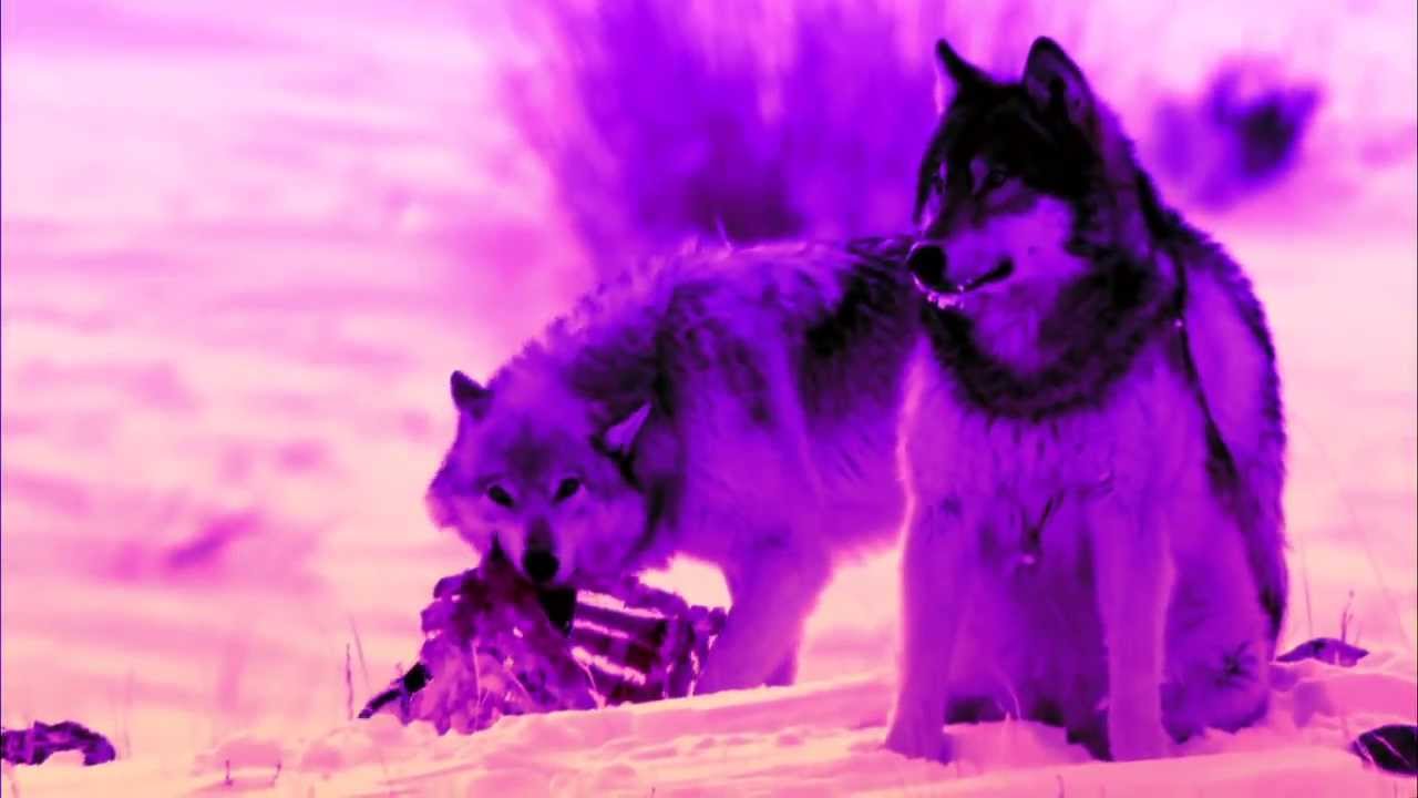 Ethelwulf - Year Of The Wulf (Prod. Konflict OD)
