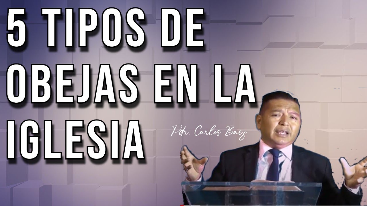 ¿Qué tipo de oveja eres en la iglesia?