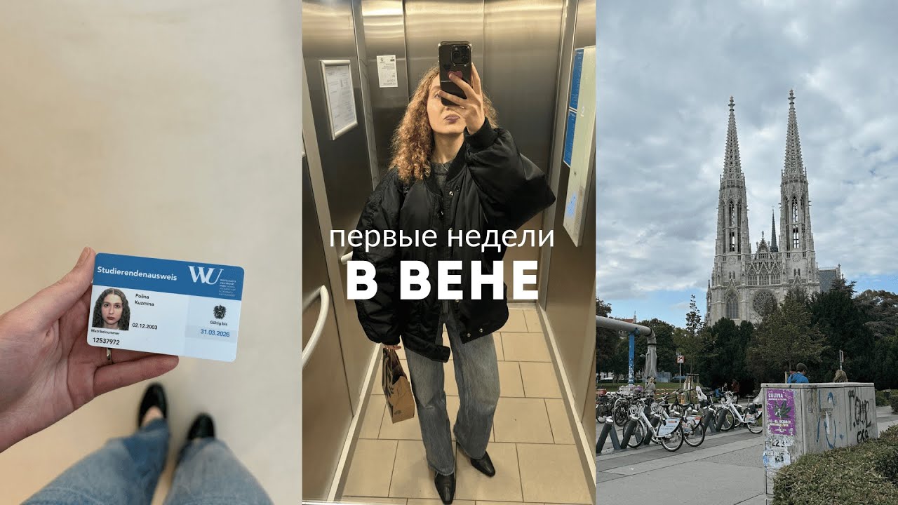 первые недели в Вене | документы, адаптация, прогулки по городу и много встреч