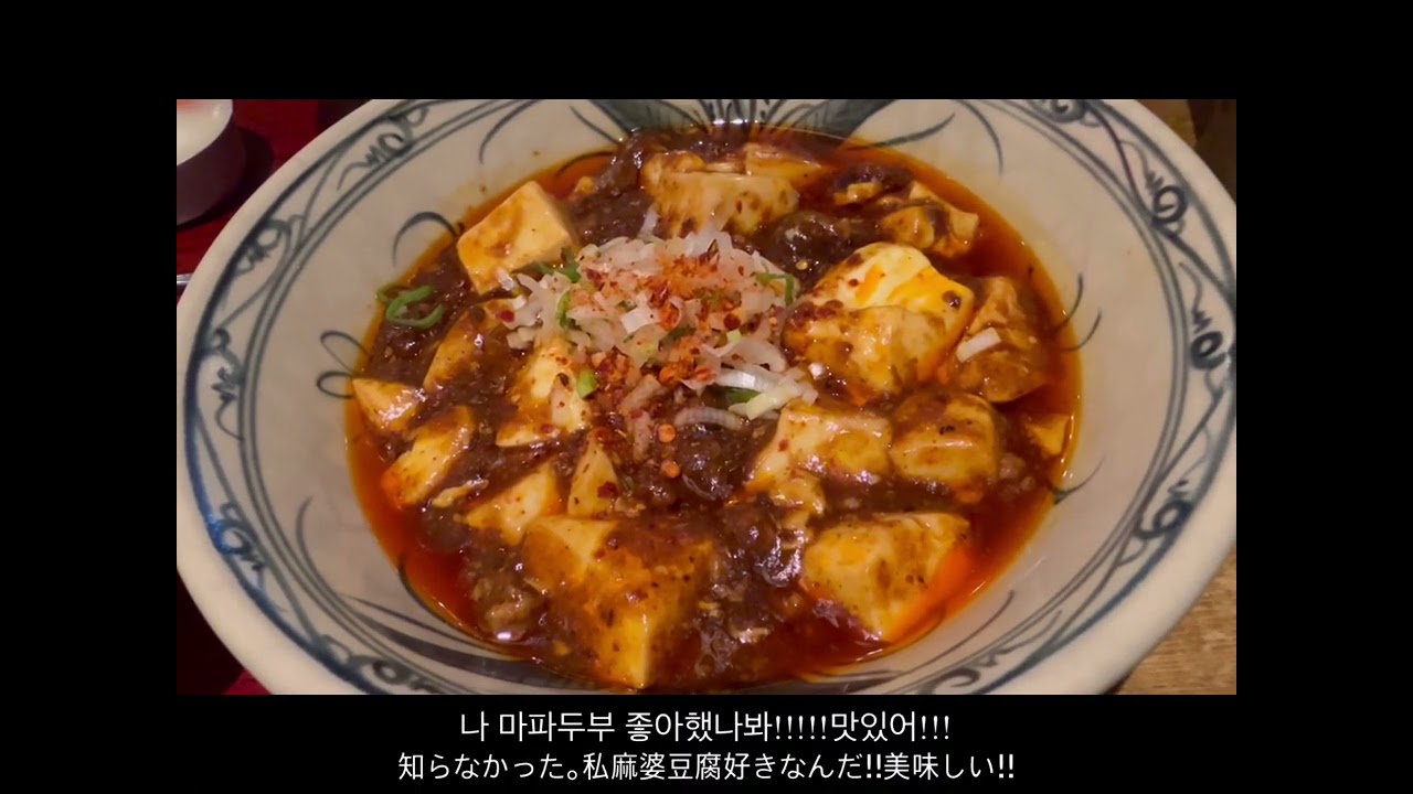 지난 날의 로그 ~live in Japan D+56~