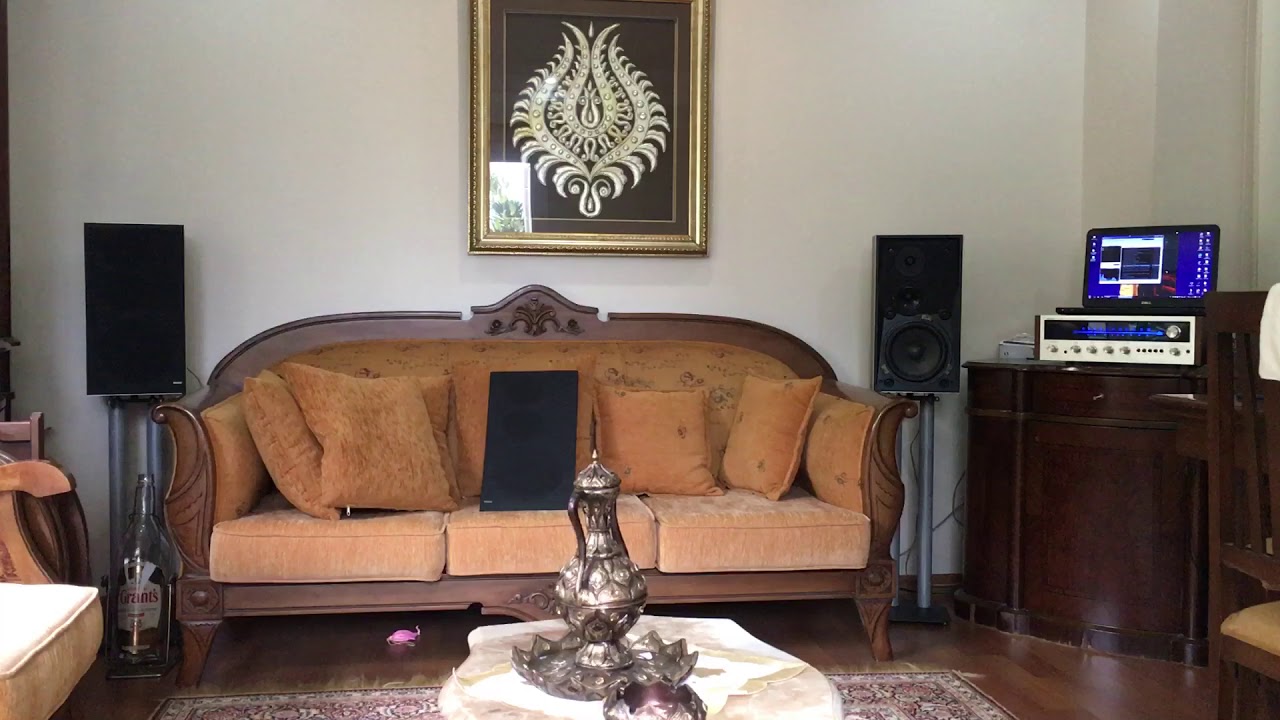 Bang&Olufsen s45, pioneer sx525, Stello DA100 Signature