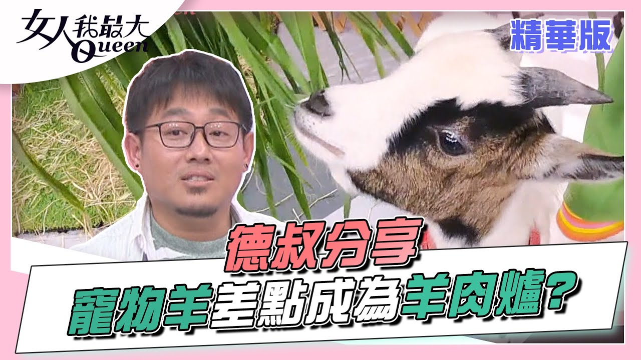 德叔分享 寵物羊差點成為「羊肉爐」還搞小團體！？ 女人我最大 20220414