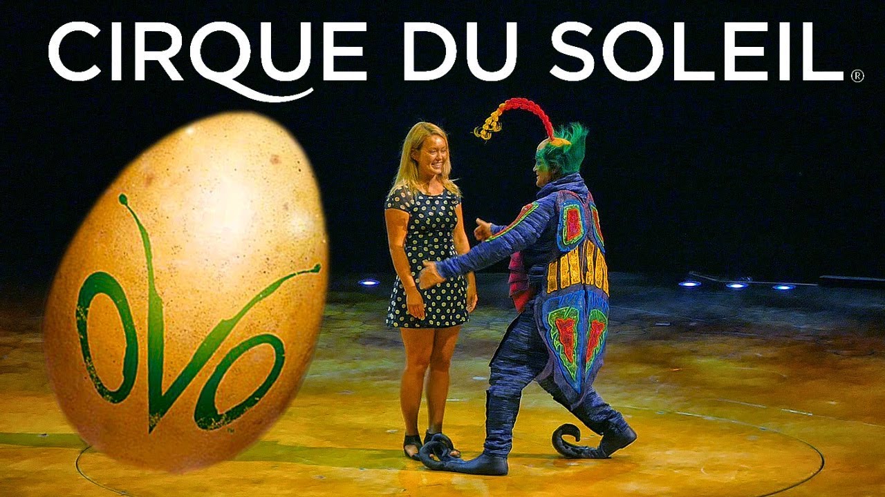 CIRQUE DU SOLEIL OVO Audience Participation  HD 2017