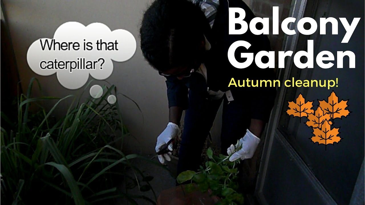 Balcony garden - Fall cleanup:  Prepare your garden for winter