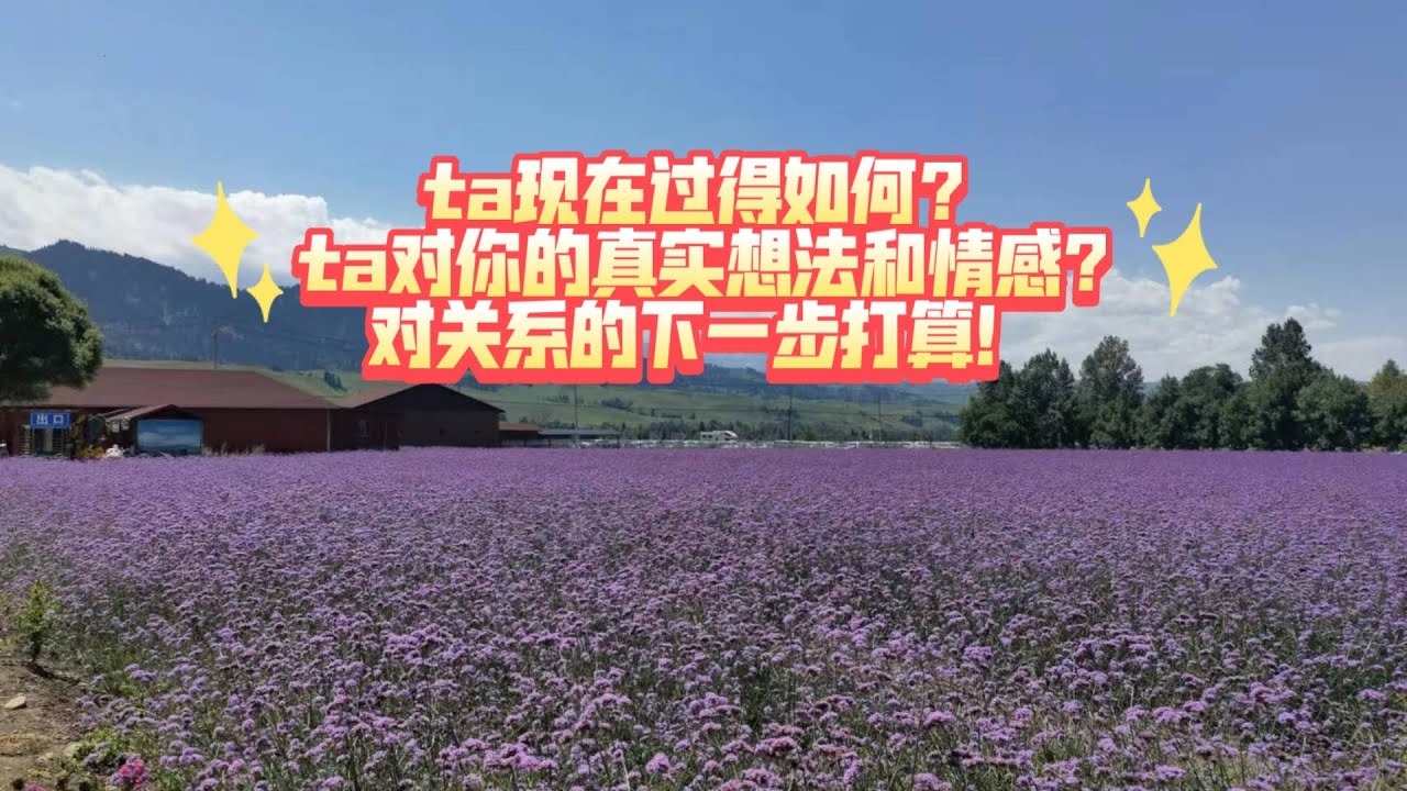 ta现在过得如何？ta对你的真实想法和情感?对关系的下一步打算！（不限关系 不限时空）