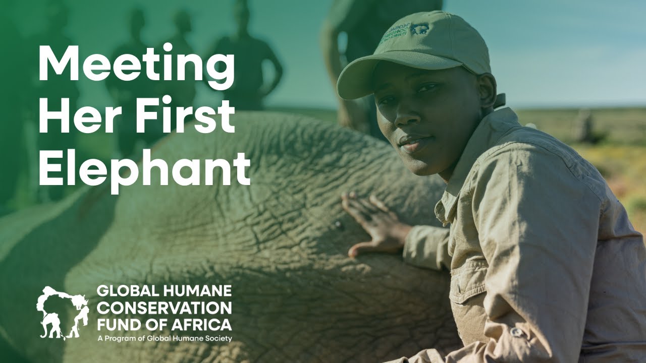 Greening Young Futures Ambassador Usi Meets Her First Elephant