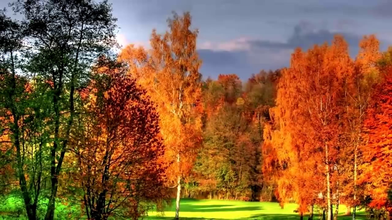 Indian Summer - Ein Rausch in Farbe I