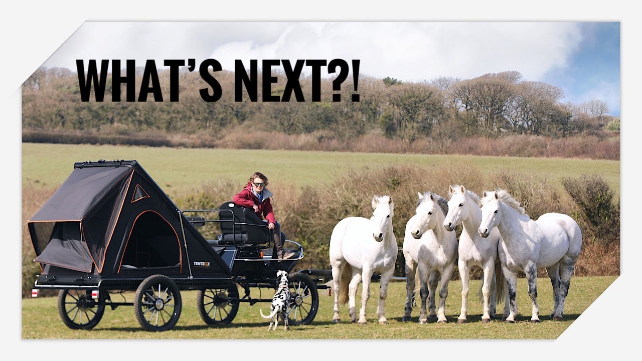 Built for Adventure! It is time for something new ⛺️🐴🐴🐴🐴