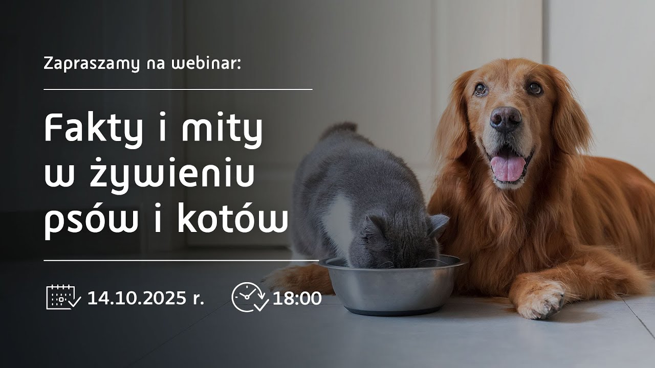 Webinar „Fakty i mity w żywieniu psów i kotów” (Dni Klienta)