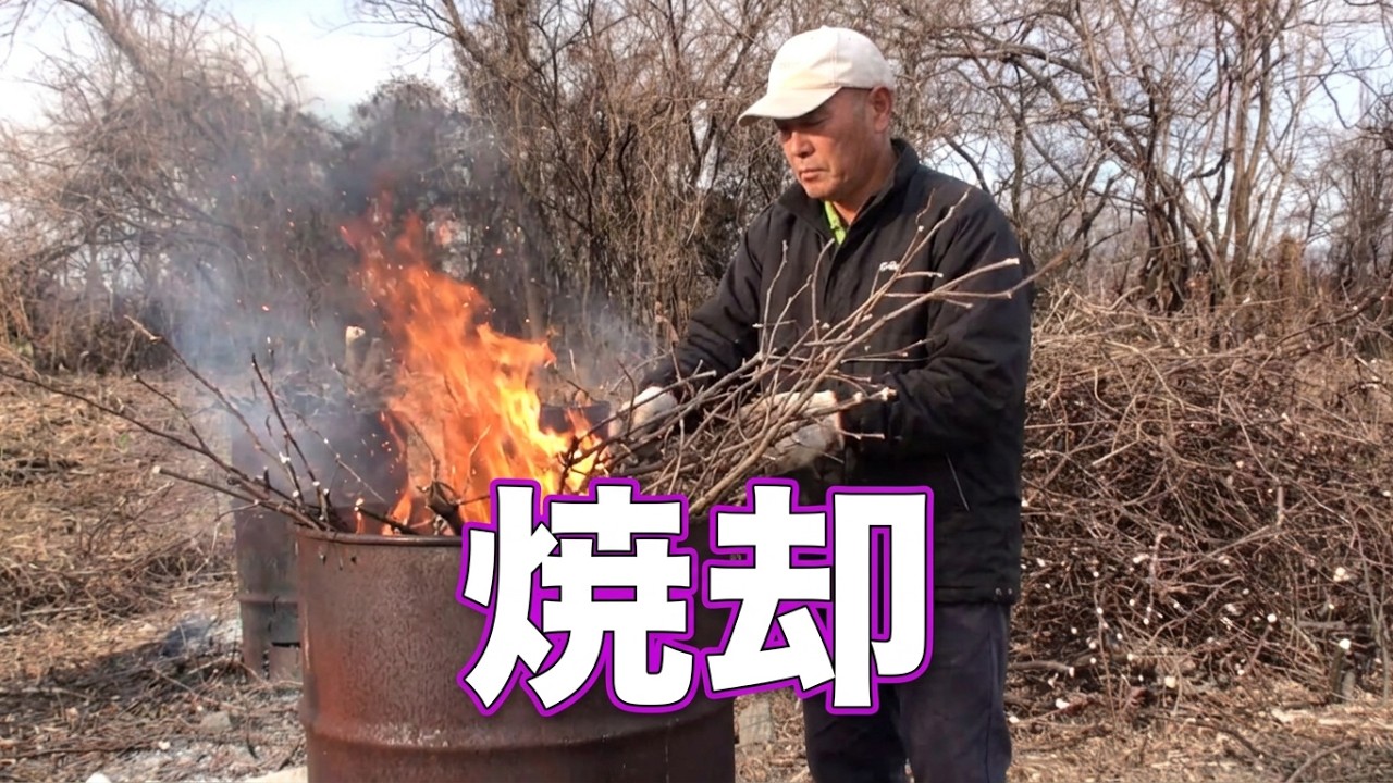焼却NO2