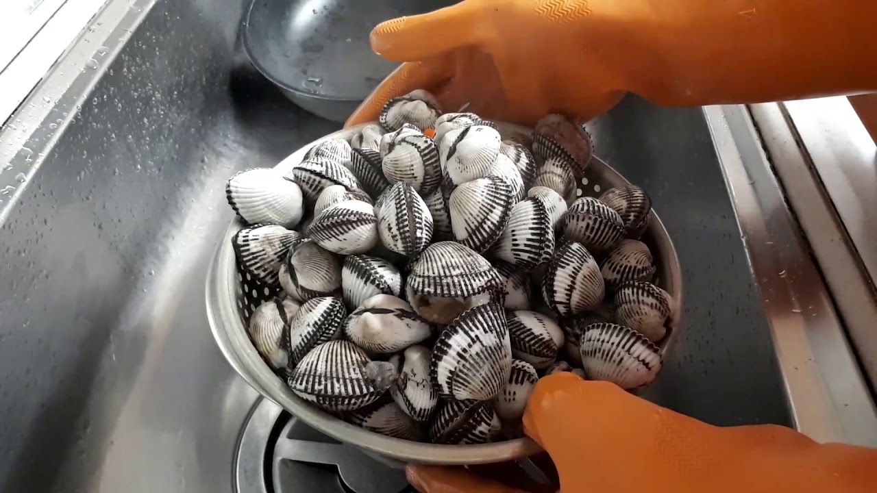 꼬막 삶는방법 꼬막 씻는방법 꼬막 비린 냄새 없이 맛있게 삶는법