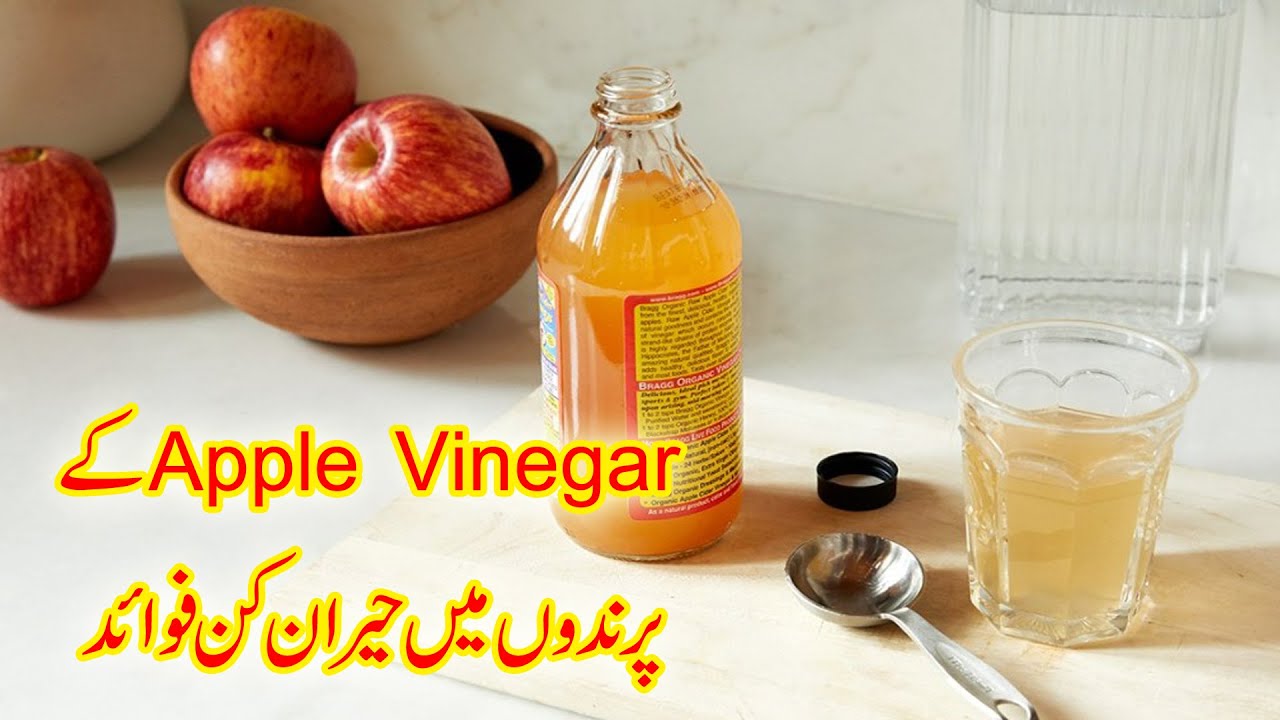 Apple vinegar Benefits in Birds|How to Use Apple Vinegar For Birds|