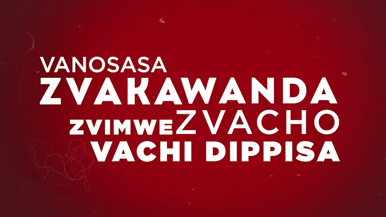 FLASH TWENTYEIGHT_Flash official video lyrics