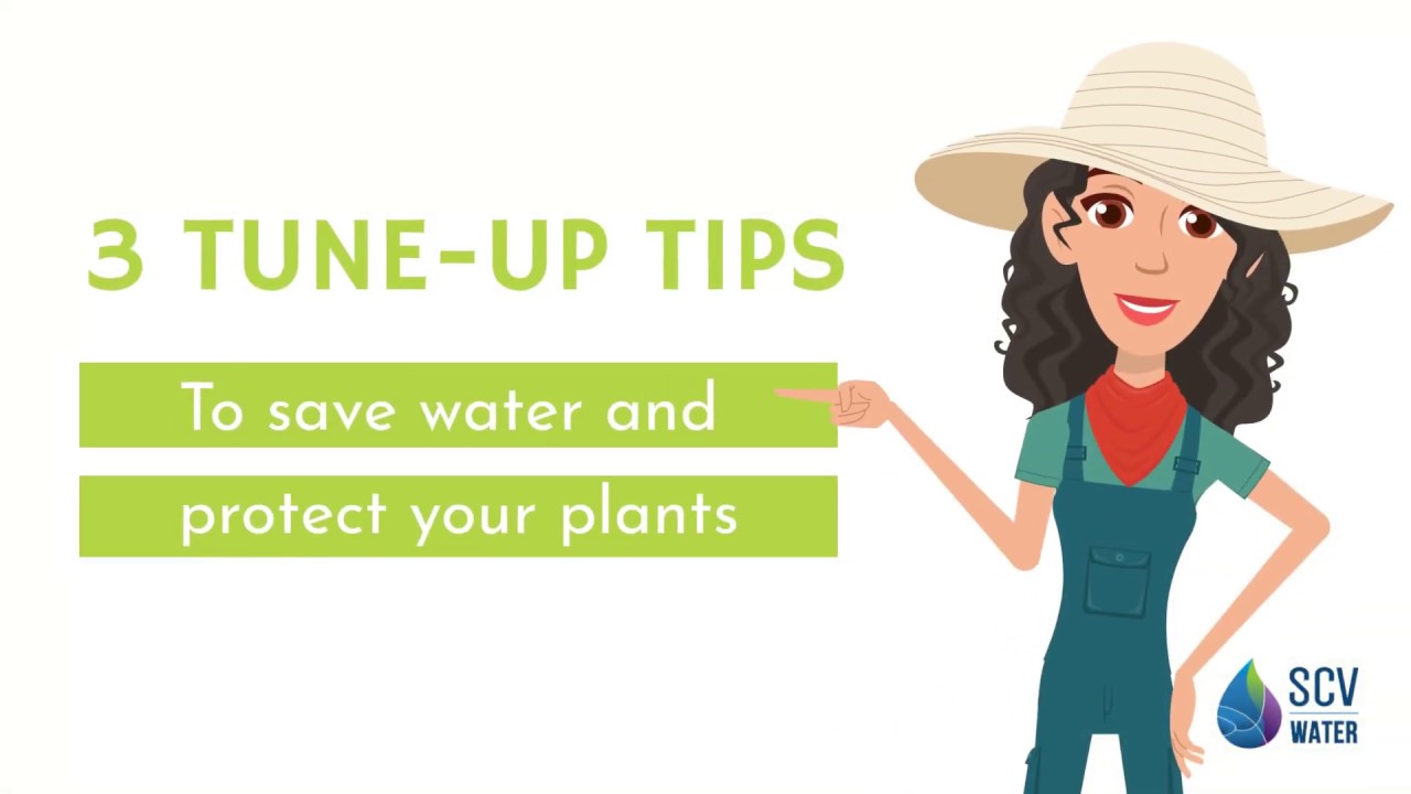 Irrigation System Tune-Up Tips