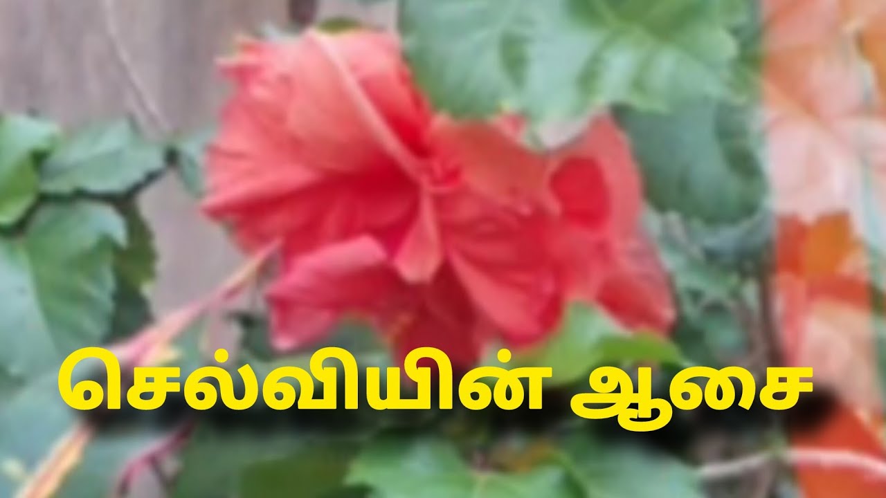 Sakthiveal Part-2 Prediction |4th to 5th February 2026|செல்வியின் ஆசை |என் கணிப்பு  