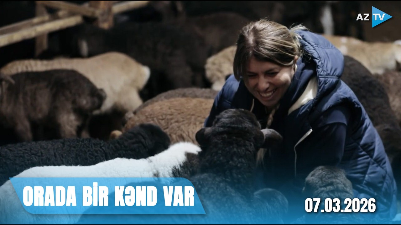 Neftçalada qışlaq həyatı I ORADA BİR KƏND VAR - 07.03.2026