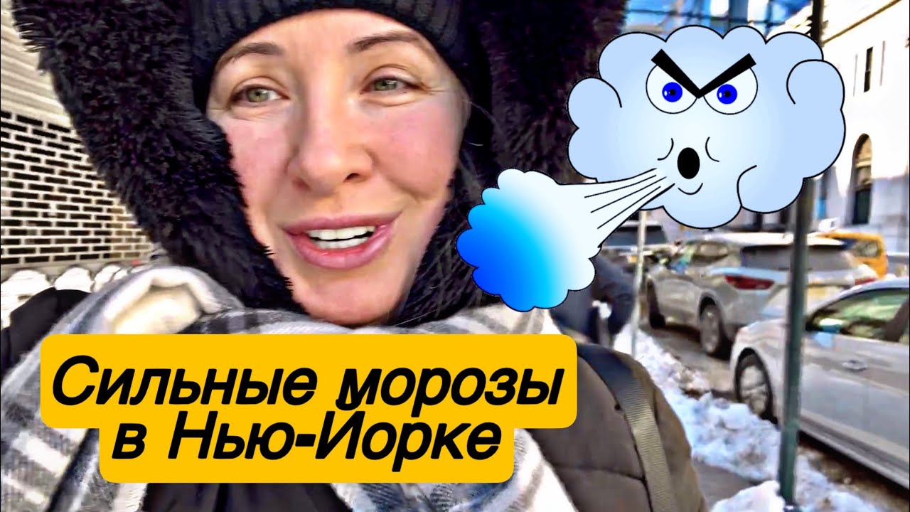 РЕКОРДНЫЕ МОРОЗЫ В НЬЮ-ЙОРКЕ🥶#сша #америка #зима #nyc#подпишись 