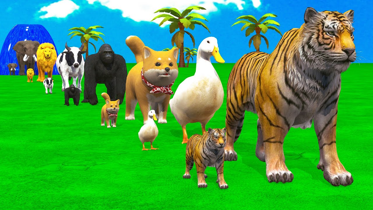 Long Slide Game With Cow Elephant Gorilla Hippopotamus Tiger - 3d Animal Game - Funny 3d Animals