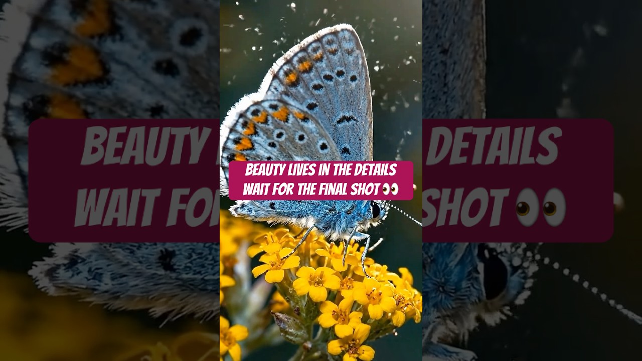 Unreal Butterfly Close-Up in 4K 