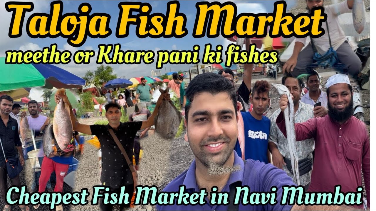 Taloja Fish Market | ₹100 kg 🐟 | Taloja Wholesale Fish Market Latest | Navi Mumbai Fish Market | 